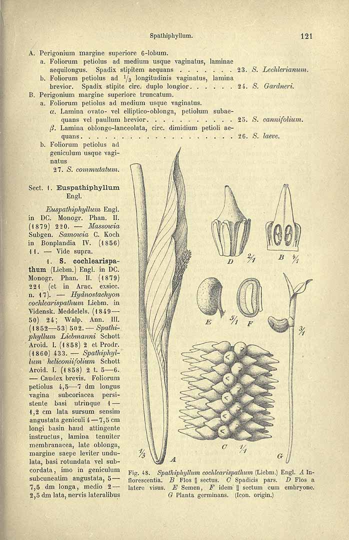 no HD illustration available (3)