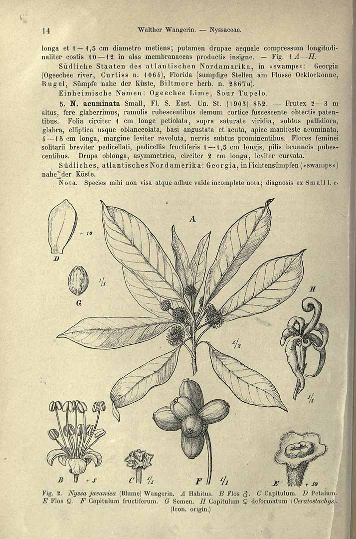 no HD illustration available (3)