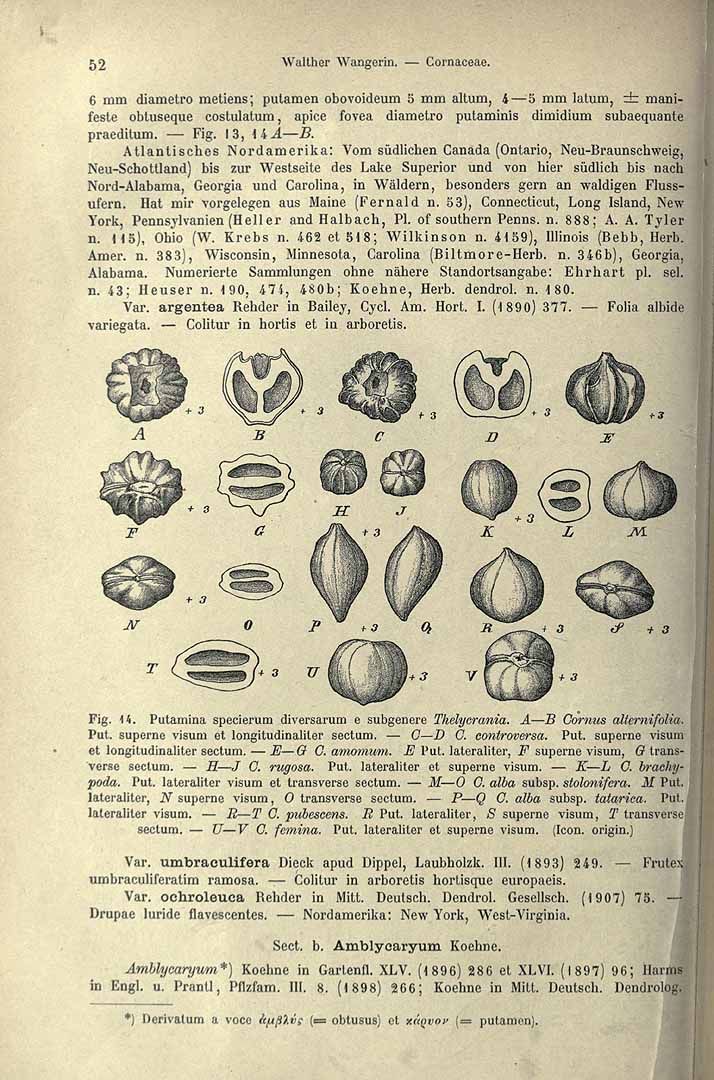 no HD illustration available (3)