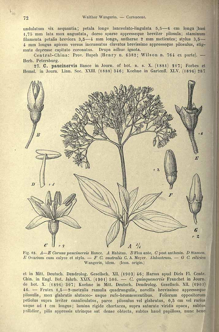 no HD illustration available (3)