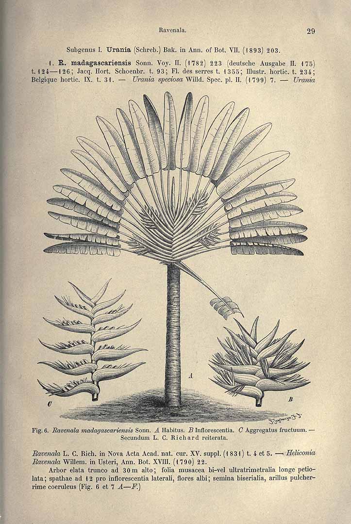 no HD illustration available (3)