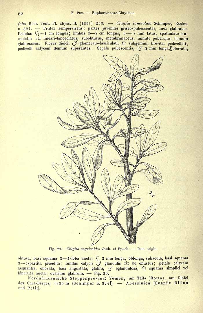 no HD illustration available (3)