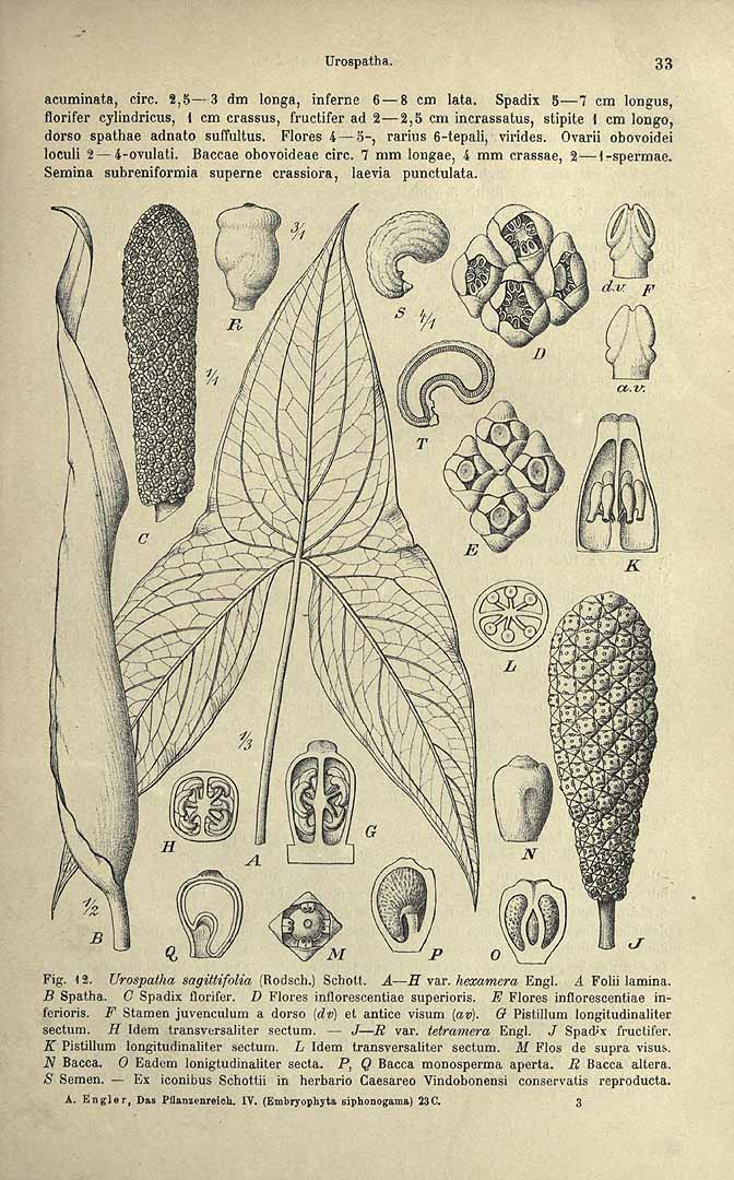 no HD illustration available (3)