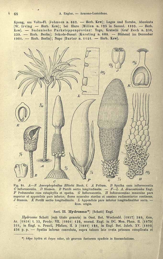 no HD illustration available (3)