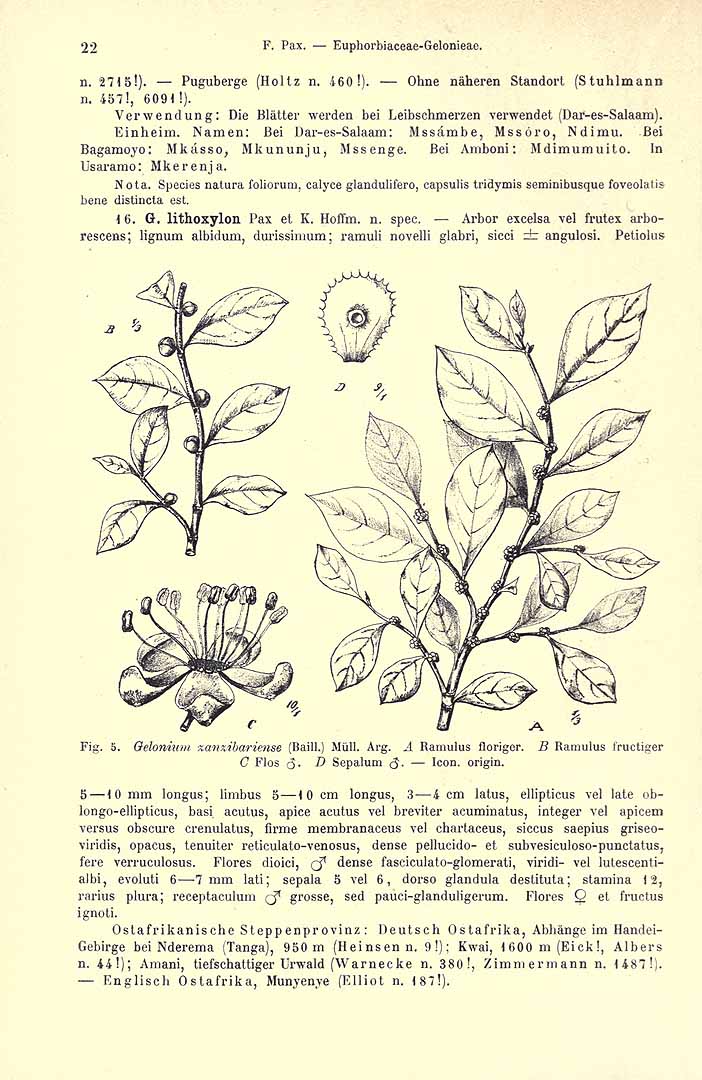 no HD illustration available (3)