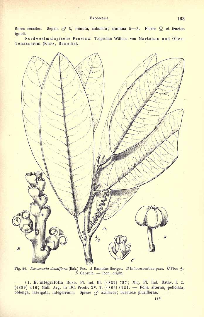 no HD illustration available (3)