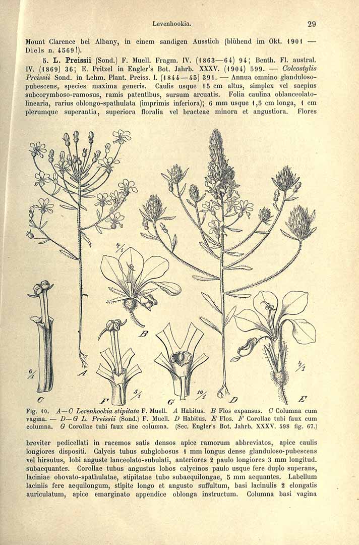 no HD illustration available (3)