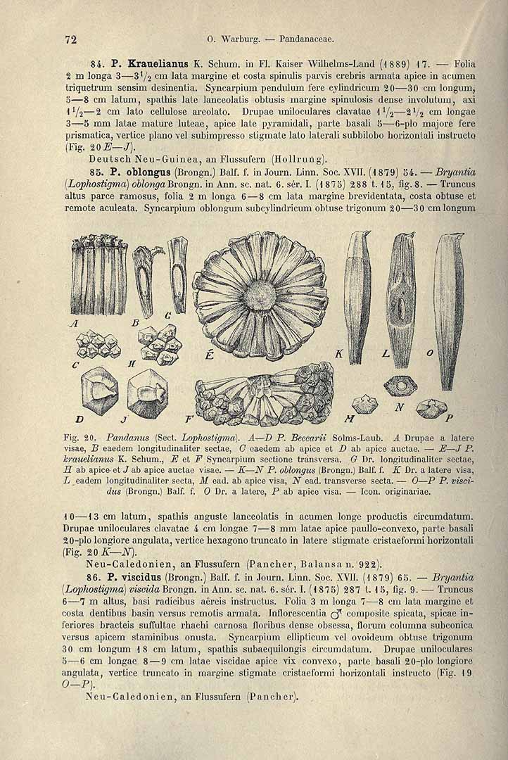 no HD illustration available (3)