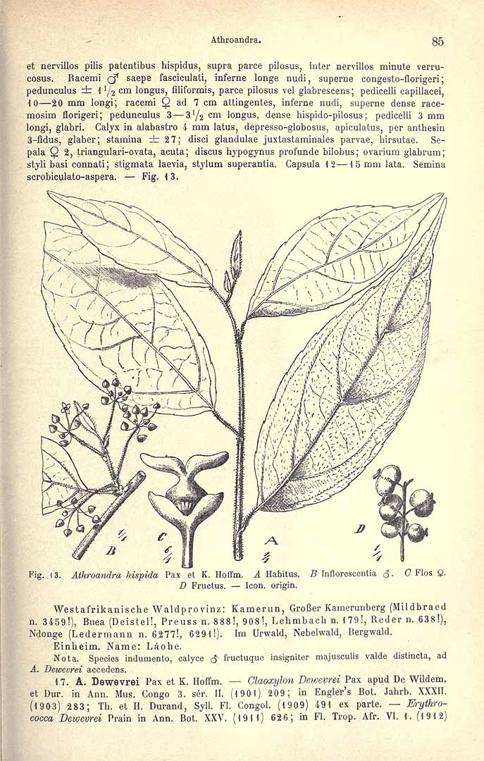 no HD illustration available (3)