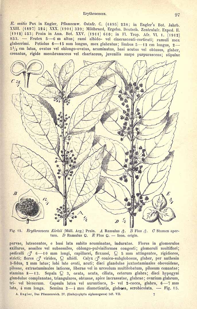 no HD illustration available (3)