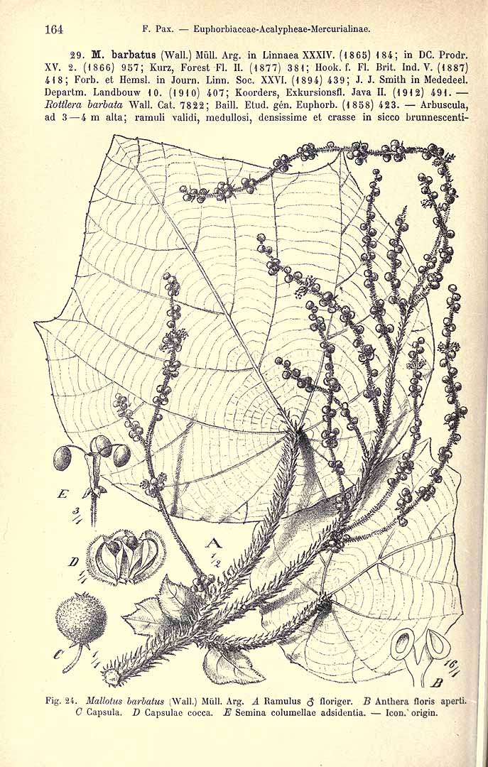 no HD illustration available (3)