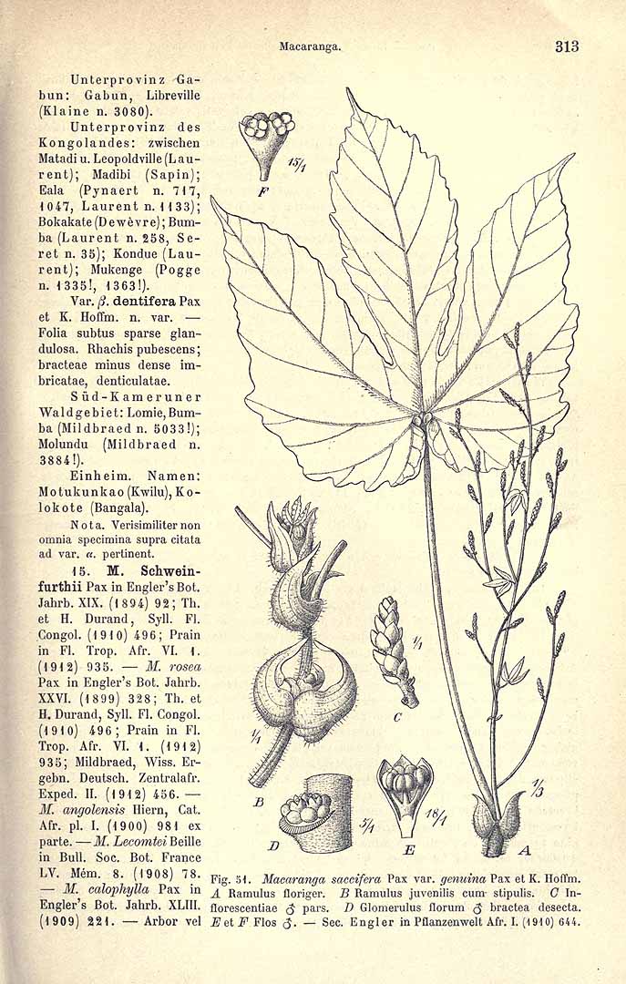 no HD illustration available (3)