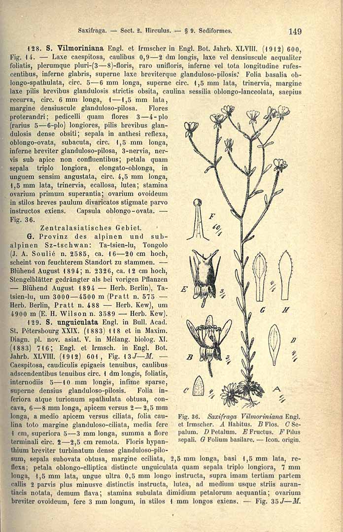 no HD illustration available (3)