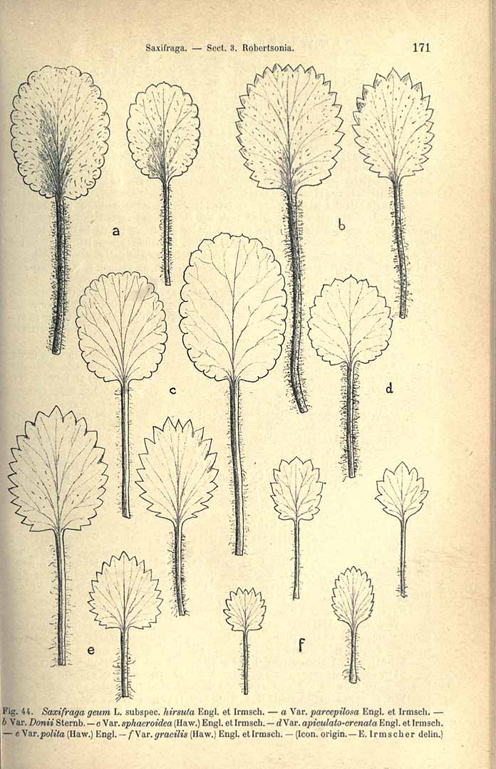 no HD illustration available (3)