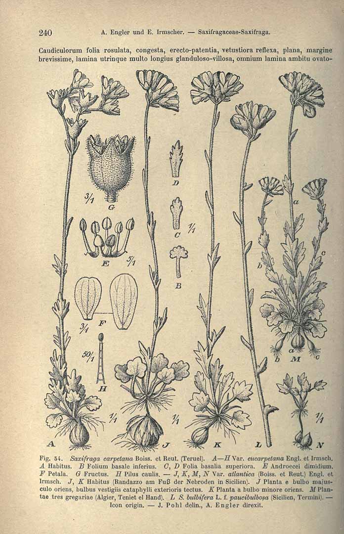 no HD illustration available (3)