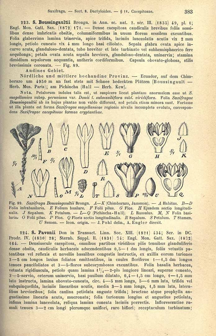 no HD illustration available (3)