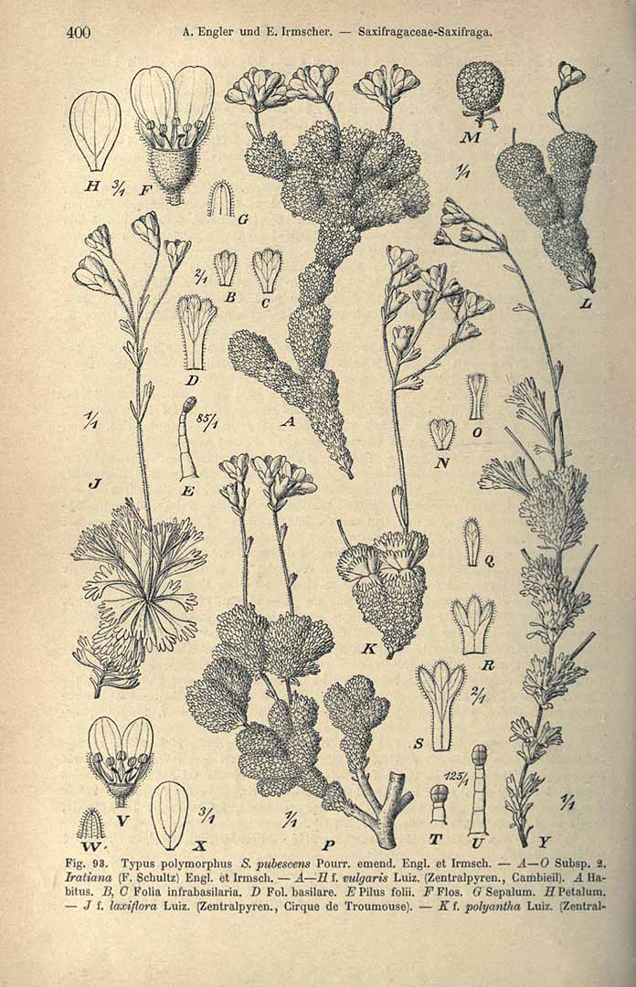 no HD illustration available (3)