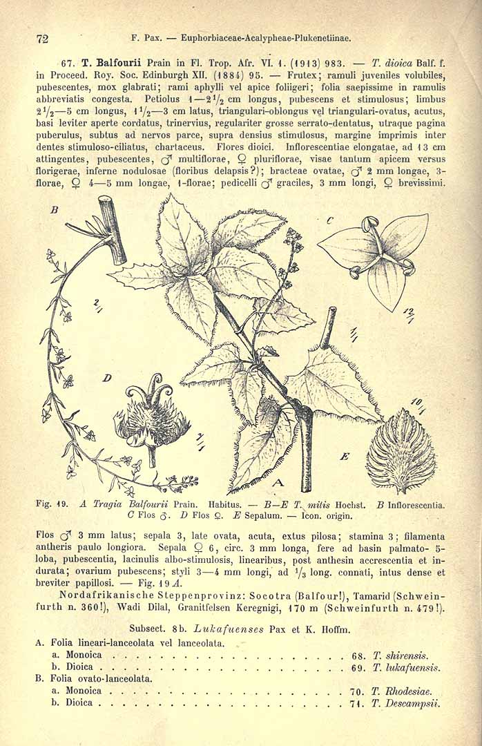 no HD illustration available (3)