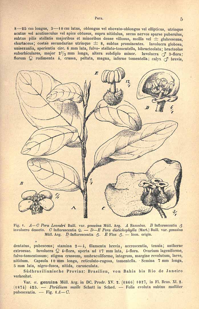 no HD illustration available (3)