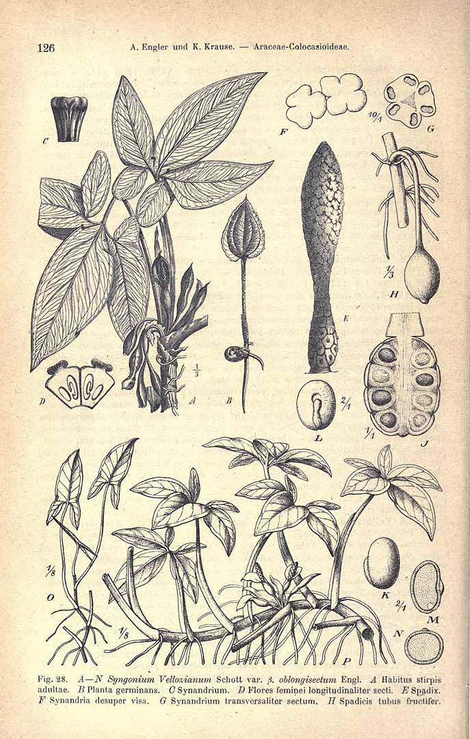 no HD illustration available (3)