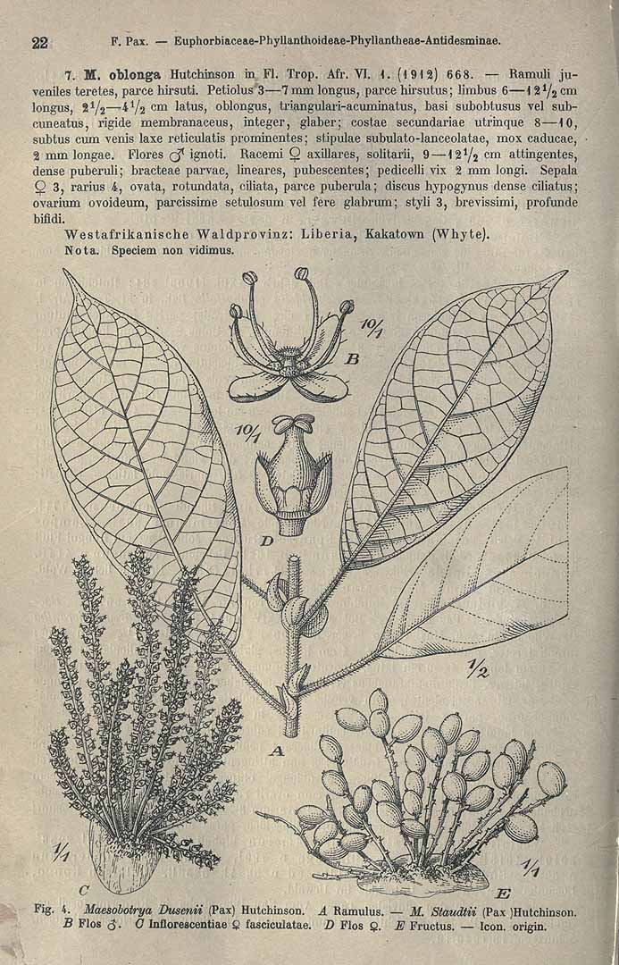 no HD illustration available (3)