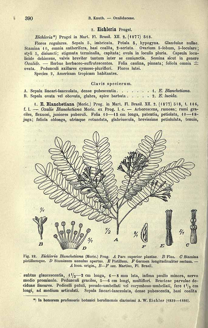 no HD illustration available (3)