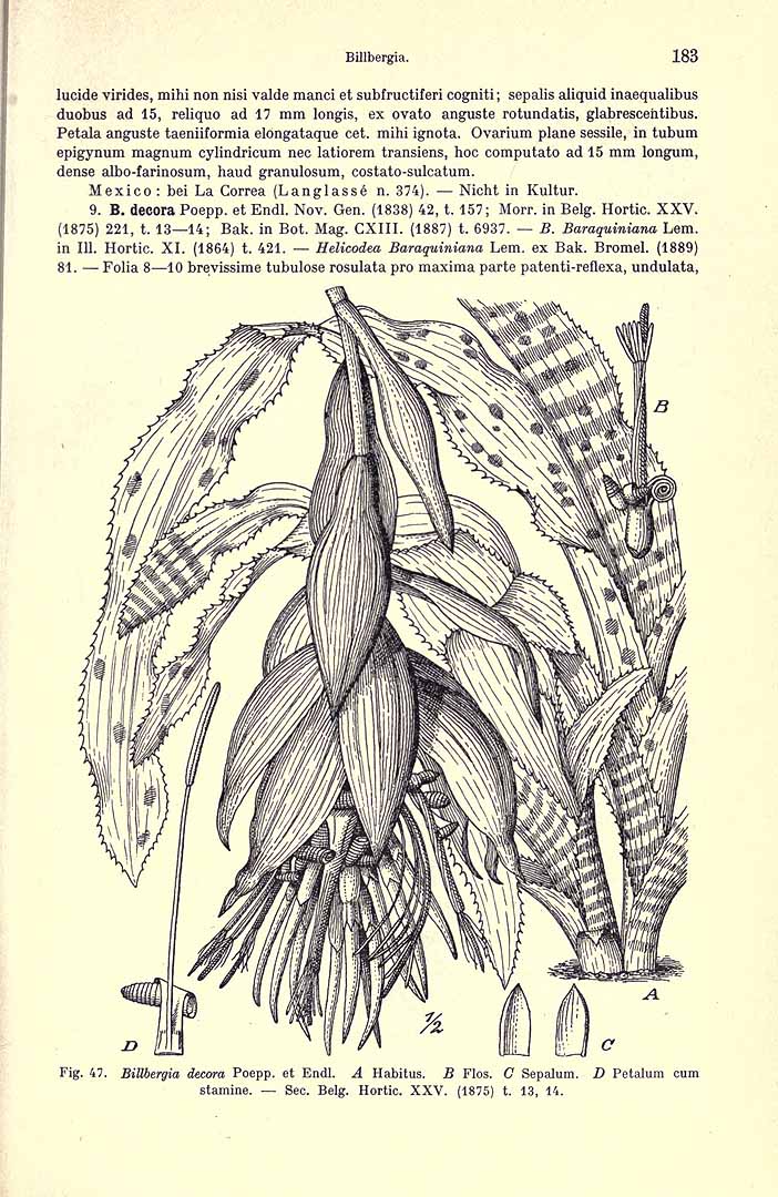 no HD illustration available (3)