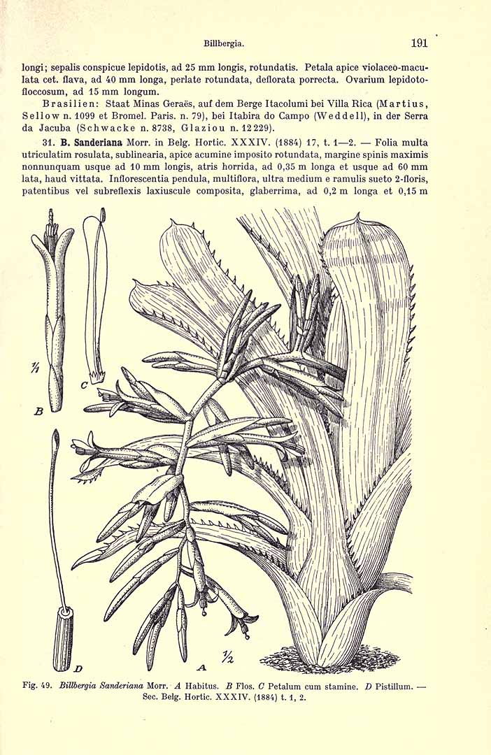 no HD illustration available (3)