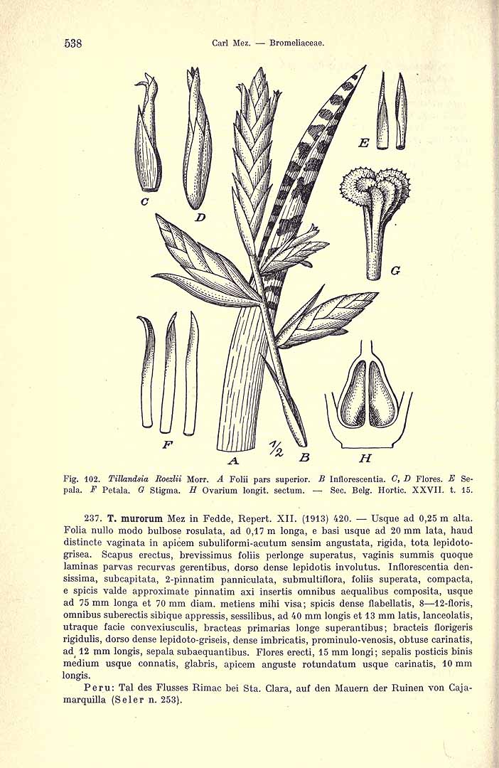 no HD illustration available (3)