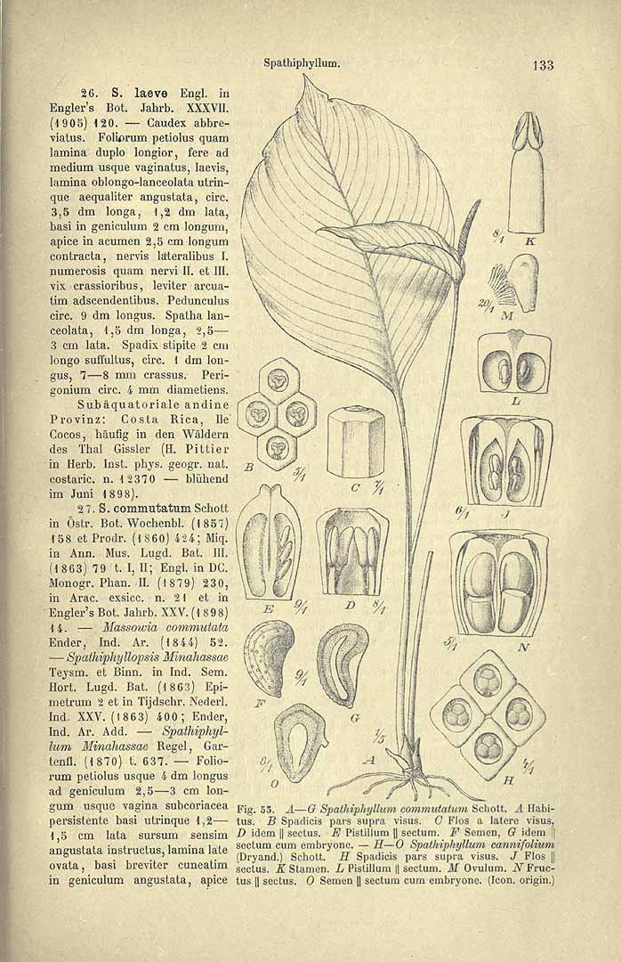 no HD illustration available (3)