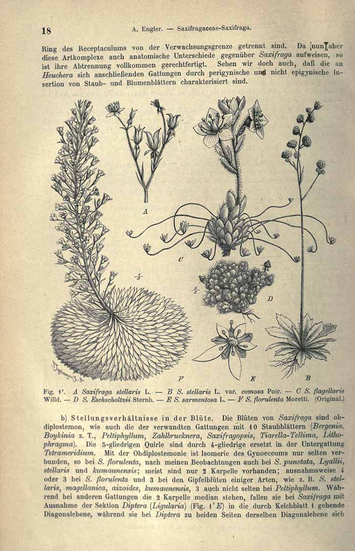 no HD illustration available (3)