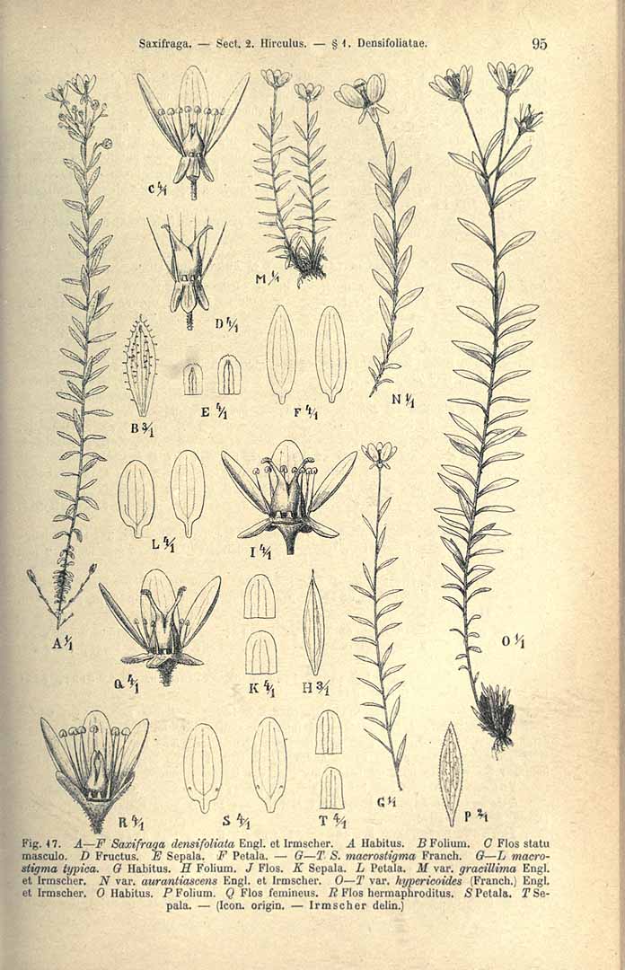 no HD illustration available (3)