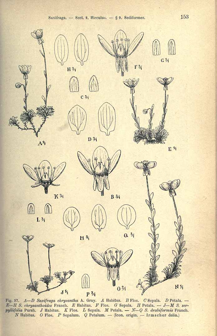 no HD illustration available (3)