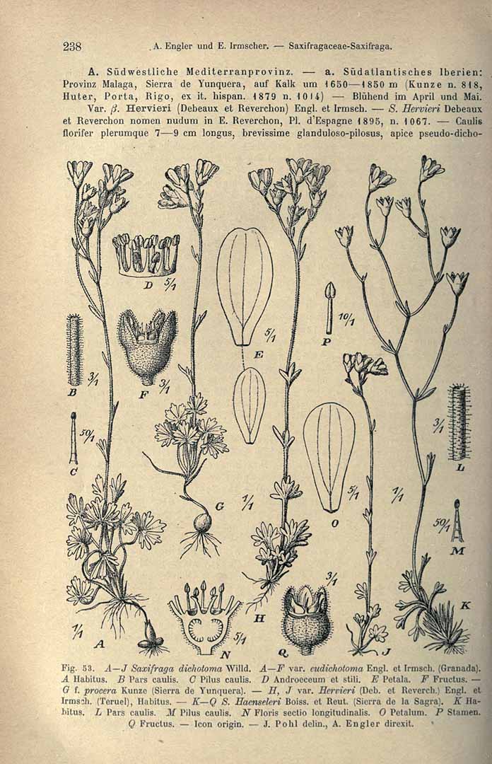 no HD illustration available (3)