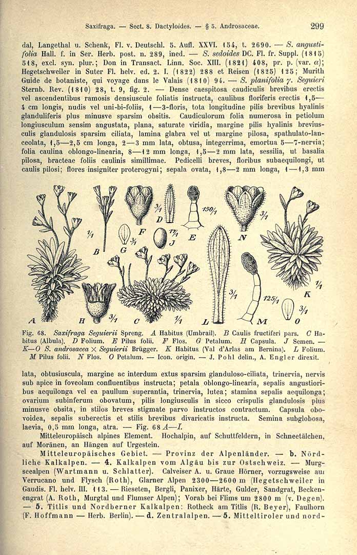 no HD illustration available (3)