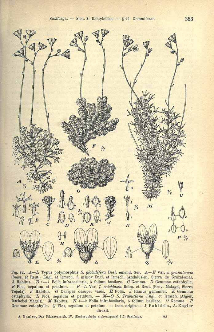 no HD illustration available (3)