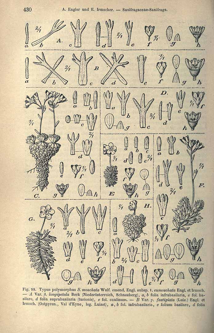 no HD illustration available (3)