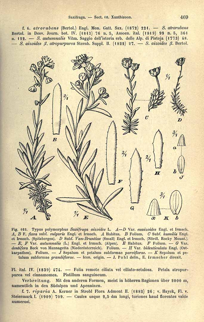 no HD illustration available (3)