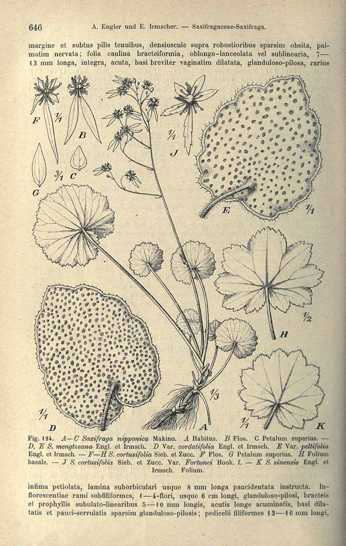 no HD illustration available (3)