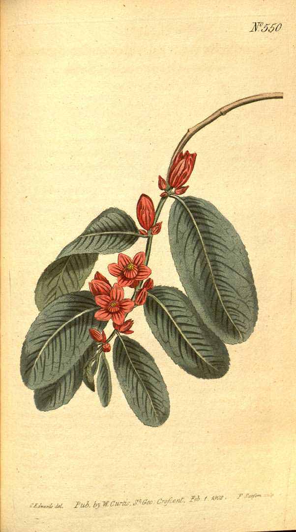 no HD illustration available (3)