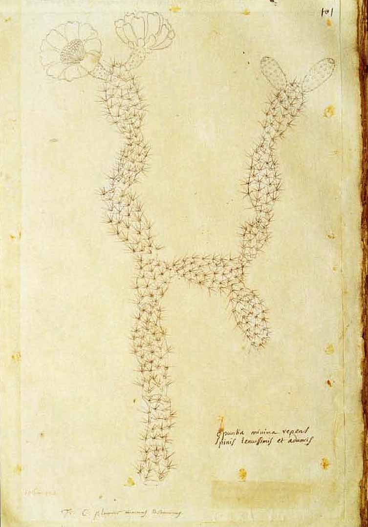 no HD illustration available (3)