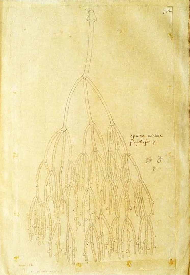 no HD illustration available (3)