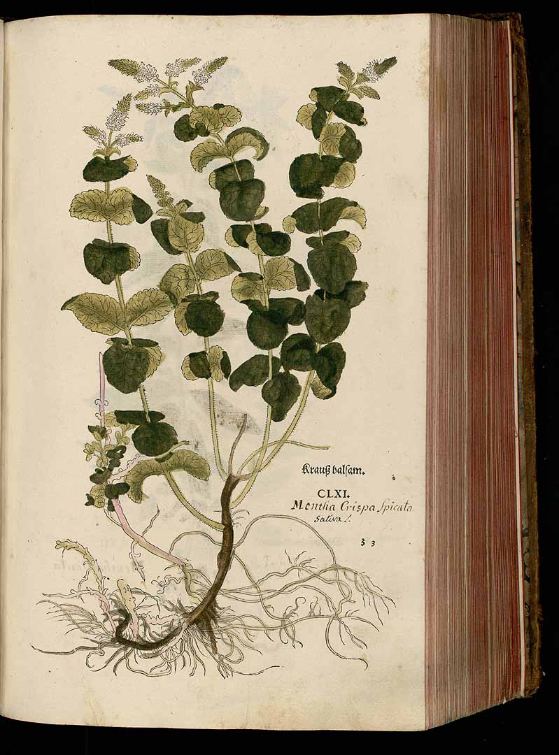 no HD illustration available (3)