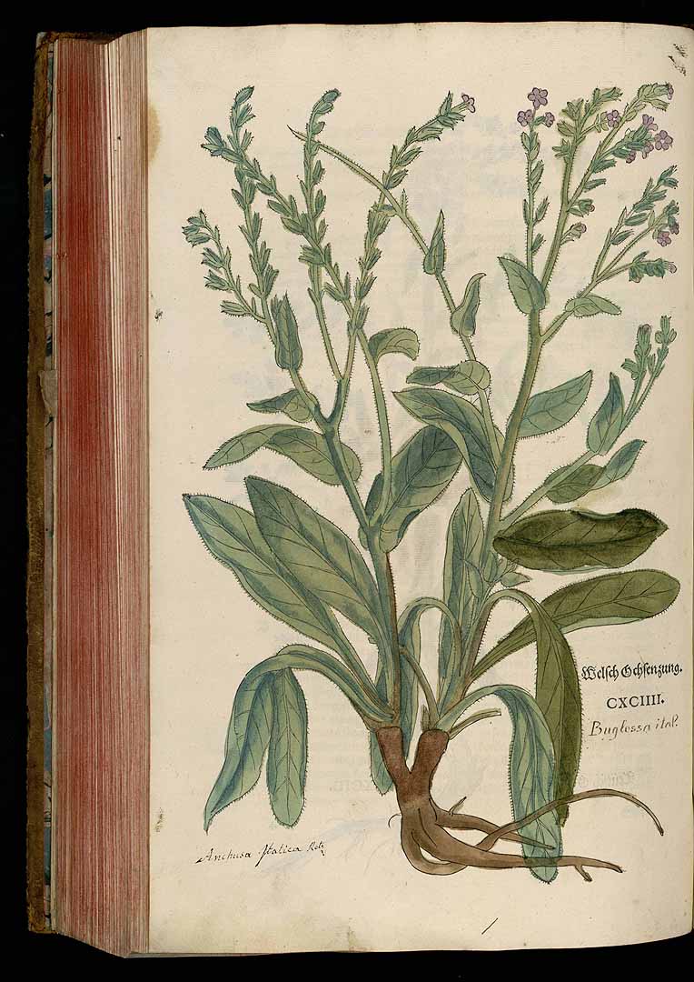 no HD illustration available (3)