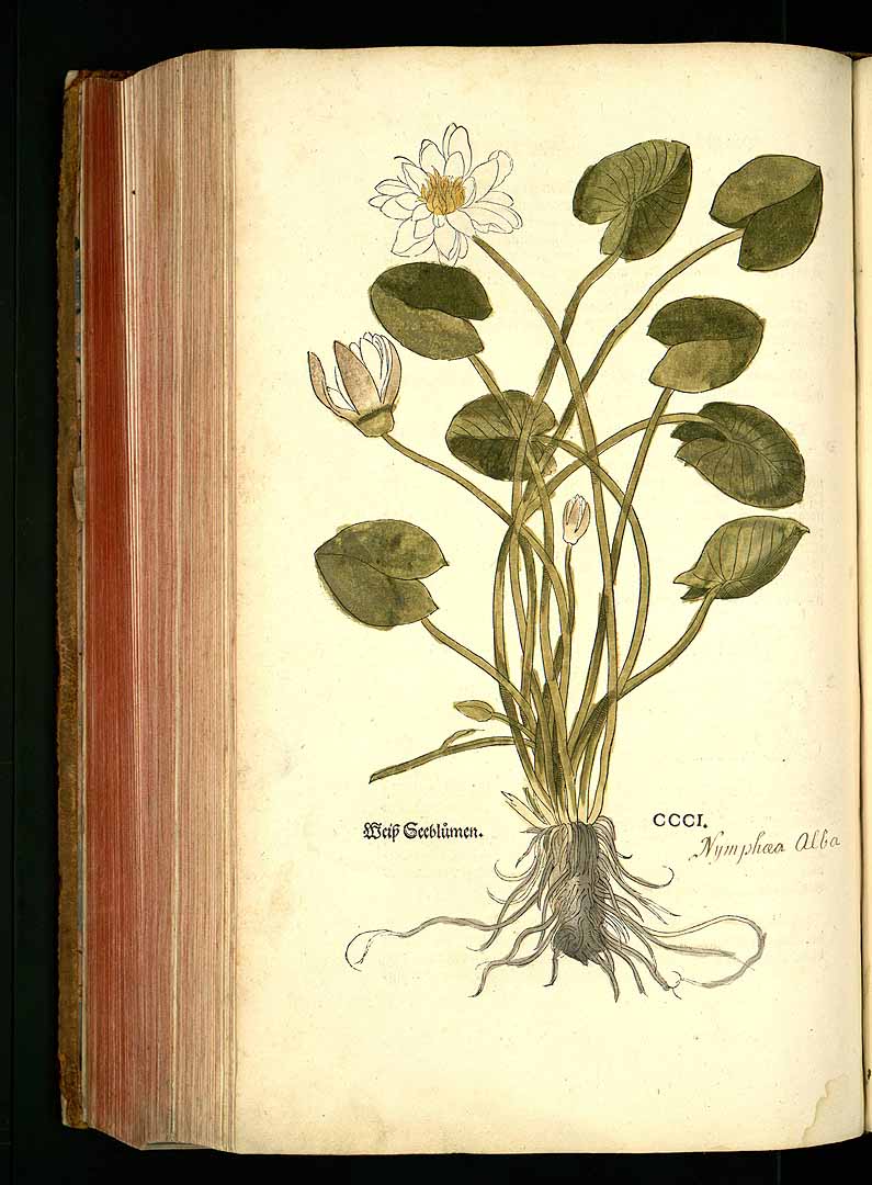 no HD illustration available (3)