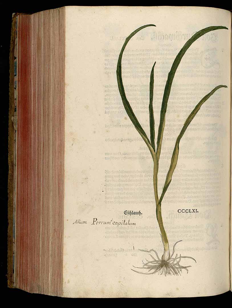 no HD illustration available (3)