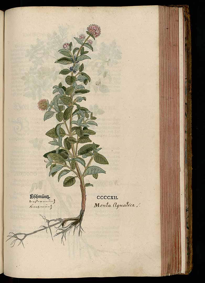 no HD illustration available (3)