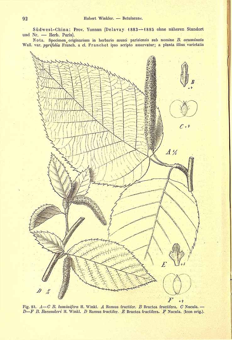 no HD illustration available (3)