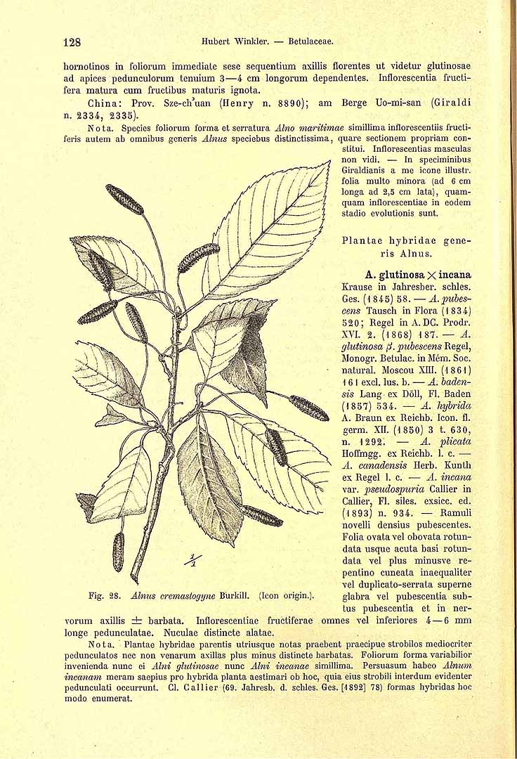 no HD illustration available (3)