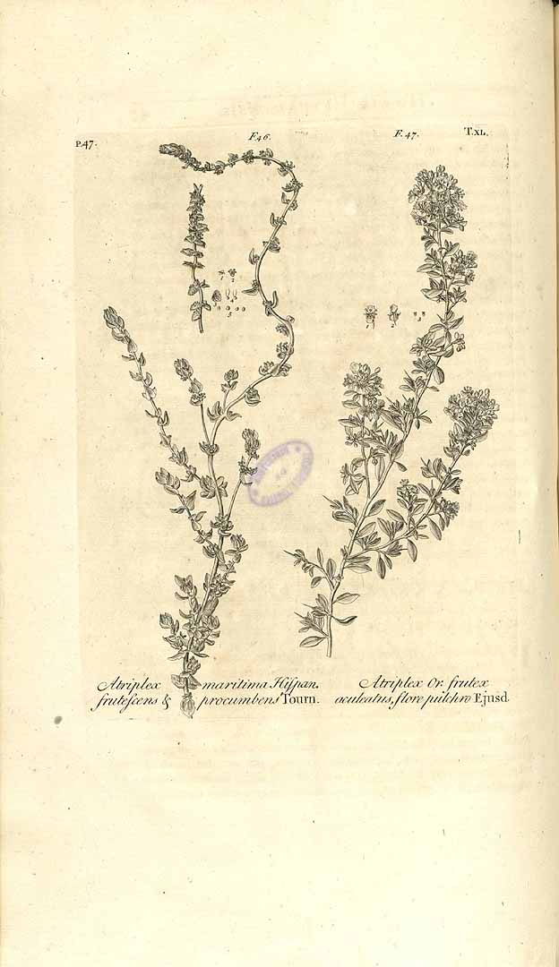 no HD illustration available (3)